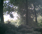 thumbs/16052005011.png
