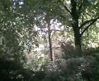 thumbs/17052005008.png