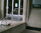 thumbs/20052005003.png