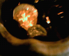thumbs/22052005010.png