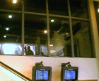 thumbs/24052005005.png