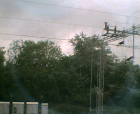 thumbs/24052005010.png