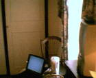 thumbs/24052005b012.png