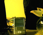 thumbs/29052005003.png