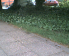 thumbs/30052005004.png