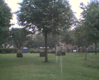 thumbs/01062005002.png