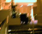 thumbs/01062005010.png