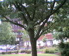 thumbs/01062005016.png