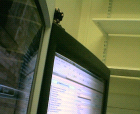 thumbs/03062005003.png