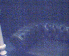 thumbs/05062005020.png