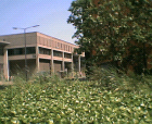 thumbs/07062005011.png