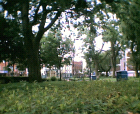 thumbs/12062005008.png