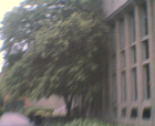 thumbs/14062005008.png