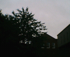 thumbs/14062005010.png