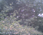 thumbs/24062005014.png