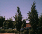 thumbs/27062005_sunny_campus_016.png