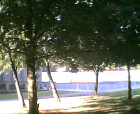 thumbs/28062005004.png