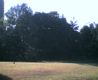 thumbs/28062005005.png