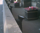 thumbs/28062005012.png