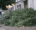 thumbs/04072005_central_campus_001.png