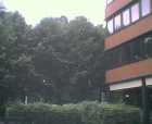 thumbs/04072005_central_campus_011.png