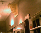 thumbs/07072005_health_club_019.png