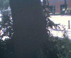 thumbs/09072005_buildings_on_campus_004.png