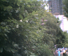 thumbs/14072005_architecture_building_and_gardens_007.png