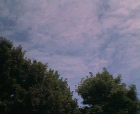 thumbs/17072005_manchester_business_school_015.png