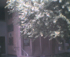 thumbs/17072005_manchester_business_school_018.png