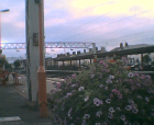 thumbs/21072005_train_to_oxford_016.png