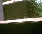 thumbs/25072005_campus_center_018.png