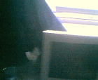 thumbs/30072005_room_evening_time_010.png