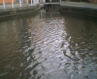 thumbs/31072005_near_bridgewater_hall_016.png