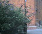thumbs/31072005_near_bridgewater_hall_019.png
