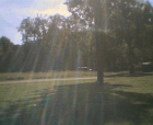 thumbs/21082005_day_in_the_sun_001.png