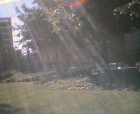 thumbs/21082005_day_in_the_sun_003.png