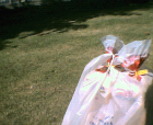 thumbs/21082005_day_in_the_sun_004.png