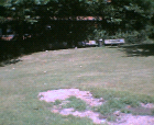 thumbs/21082005_day_in_the_sun_006.png