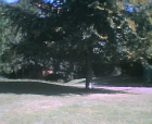 thumbs/21082005_day_in_the_sun_009.png