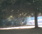 thumbs/21082005_day_in_the_sun_012.png
