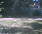 thumbs/21082005_day_in_the_sun_015.png