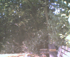 thumbs/21082005_day_in_the_sun_016.png