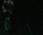 thumbs/30082005_charles_groves_hall_017.png