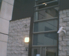 thumbs/01092005_hall_entrance_020.png