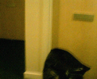 thumbs/08092005_coming_back_home_007.png