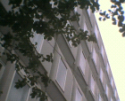 thumbs/09092005_chemistry_building_006.png