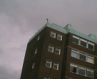 thumbs/09092005_chemistry_building_012.png