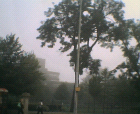 thumbs/12092005_foggy_day_008.png