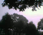 thumbs/12092005_foggy_day_011.png